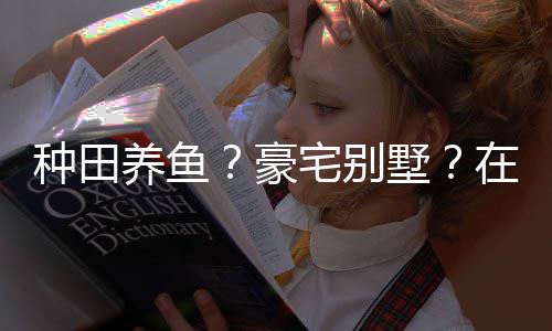 打造的仙养鱼一座豪墅说中十足种田宅别在蜀境传个性府