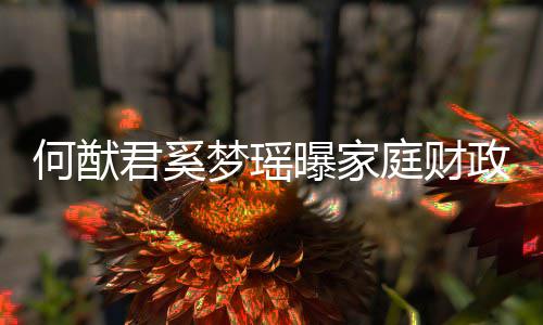 办公曝家况 梦瑶庭财何猷室政状掌控君奚家族权属