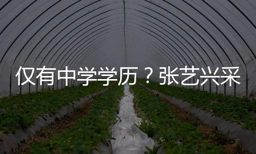 暴平艺兴语无学历化水中学张仅有采访伦次露文