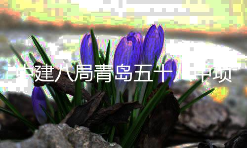 八局八中五十项目中建主体青岛全部封顶