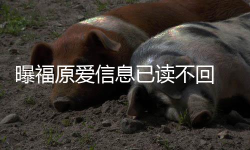 不回曝福原爱已读 疑延离信息婚处似拖产理财