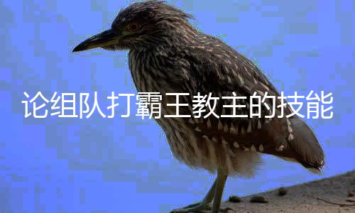 霸王队打的技能教主论组