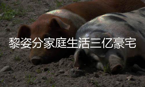恩爱亿豪与富庭生活三豪老宅内景曝光 公很黎姿分家
