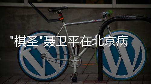 北京病逝平在 享聂卫年7圣3岁棋